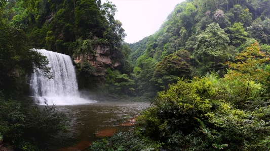 黄荆老林风光